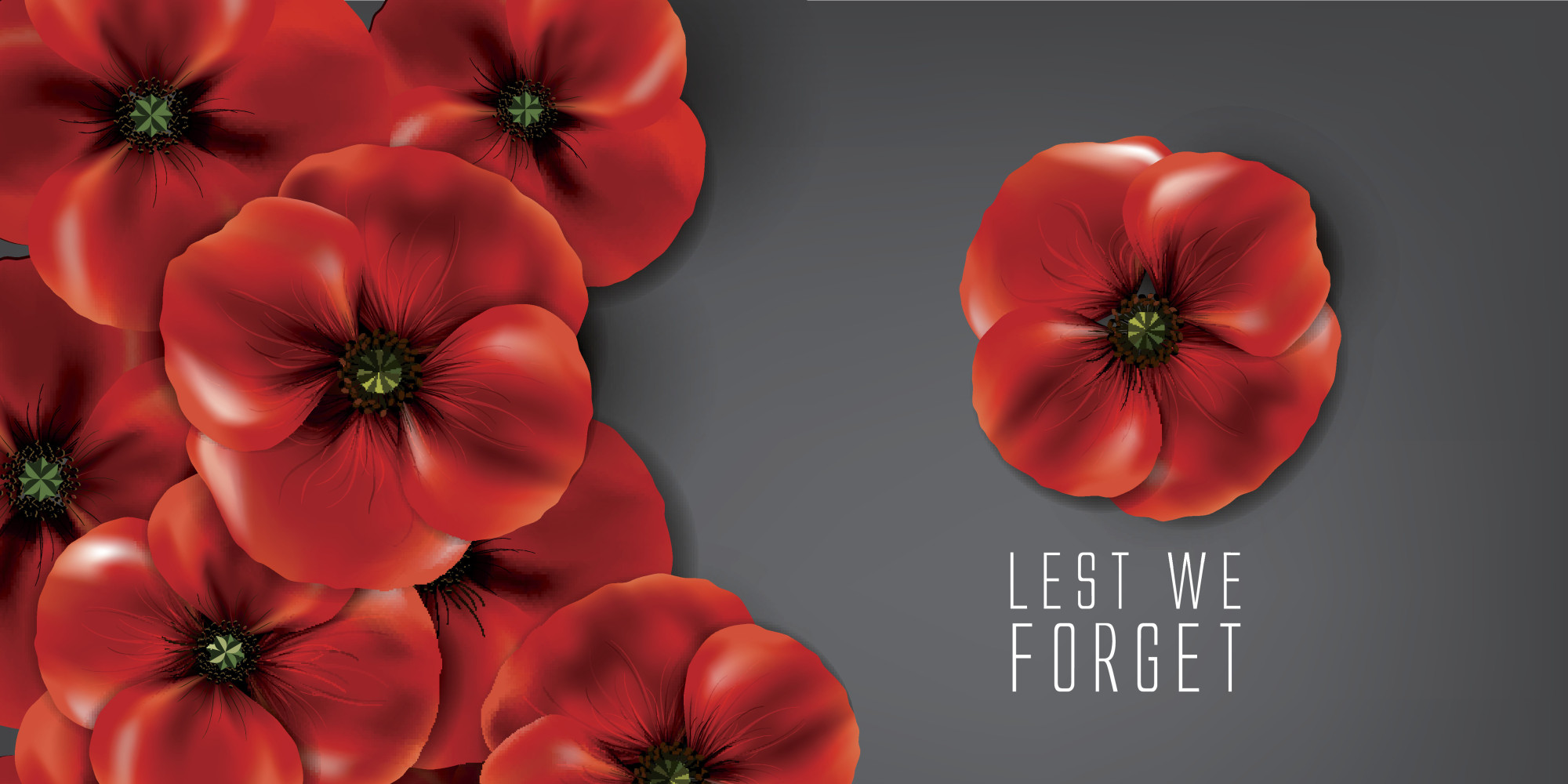 5 Lessons We Should Learn This Remembrance Day Huffpost