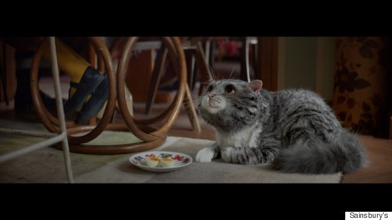 sainsbury mog cat commercial