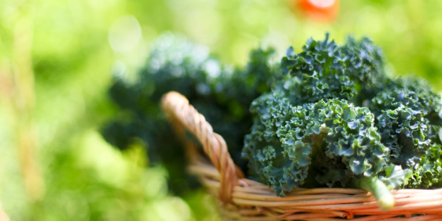 Grünkohl ist ein Superfood - gesund und vielseitig.