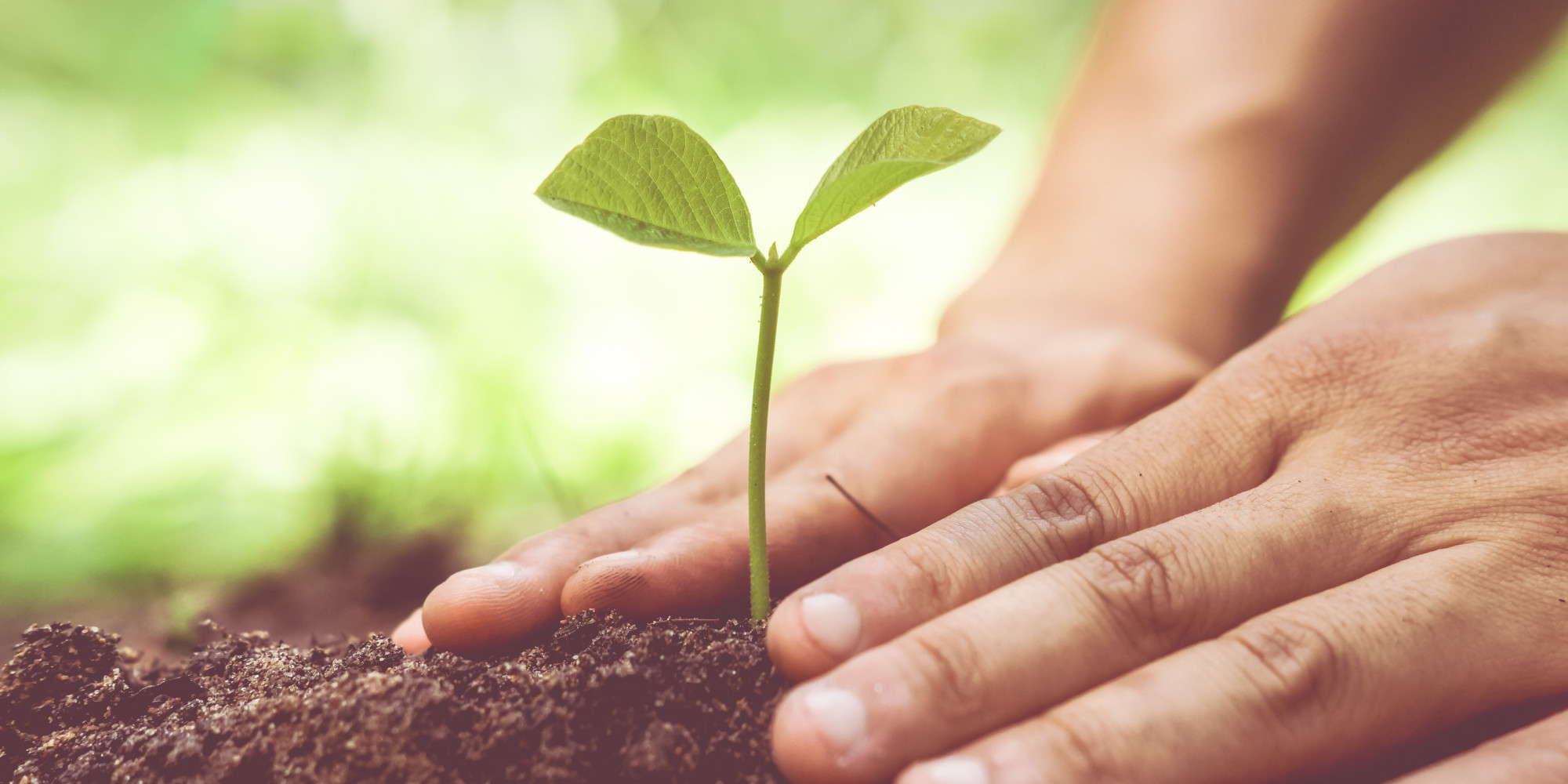 Do Women Make Better Farmers Than Men HuffPost