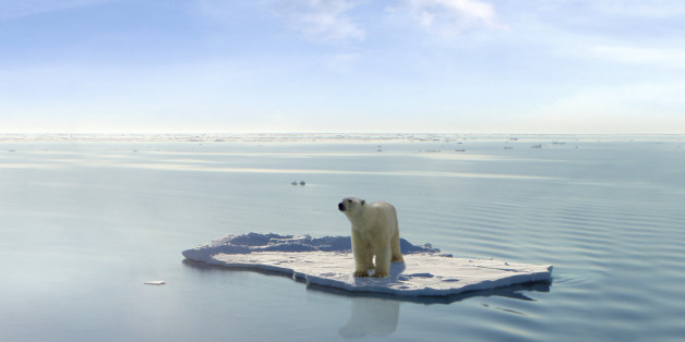 A polar bear managed to get on one of the last ice floes floating in the Arctic sea. Due to global warming the natural environment of the polar bear in the Arctic has changed a lot. The Arctic sea has much less ice than it had some years ago. (This images is a photoshop design. Polarbear, ice floe, ocean and sky are real, they were just not together in the way they are now)