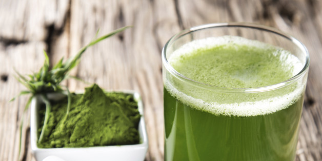 Chlorella vulgaris gibt es unter anderem als Chlorella-Pulver zu kaufen.