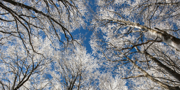 Mit diesen Tipps kommt ihr unbeschadet durch den Winter.
