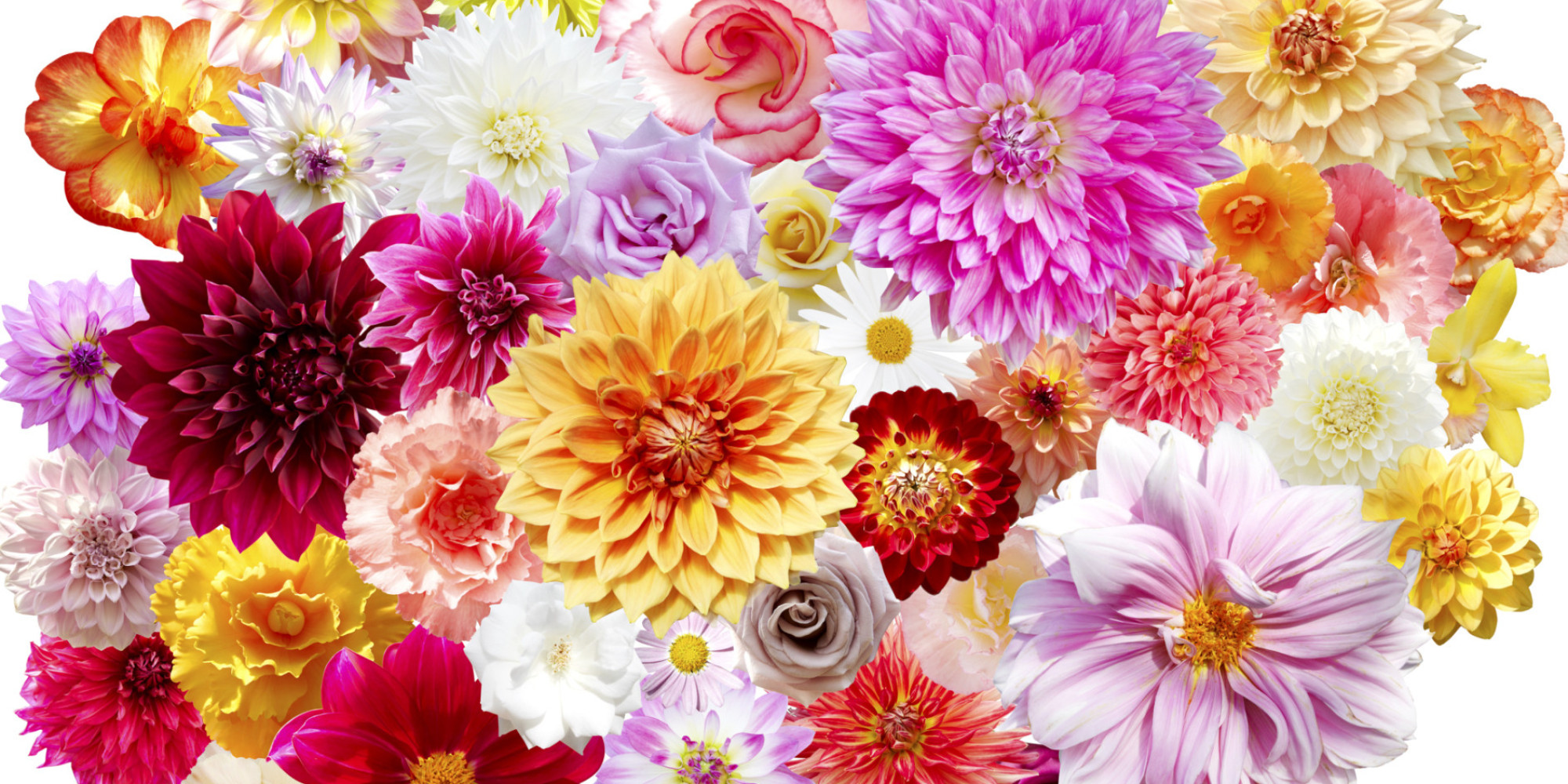 4 Easy Ways to Keep Your Flowers Alive Longer | HuffPost