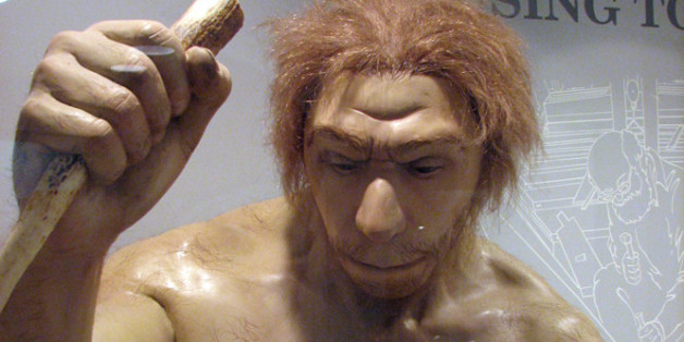 Sculpture of a Neanderthal man from the Ancestors exhibit at the Maxwell Museum of Anthropology, University of New Mexico