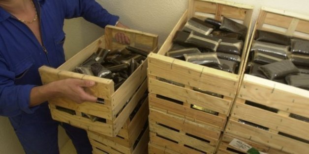 Saisie de plus de sept tonnes de cannabis au port de Tanger Med