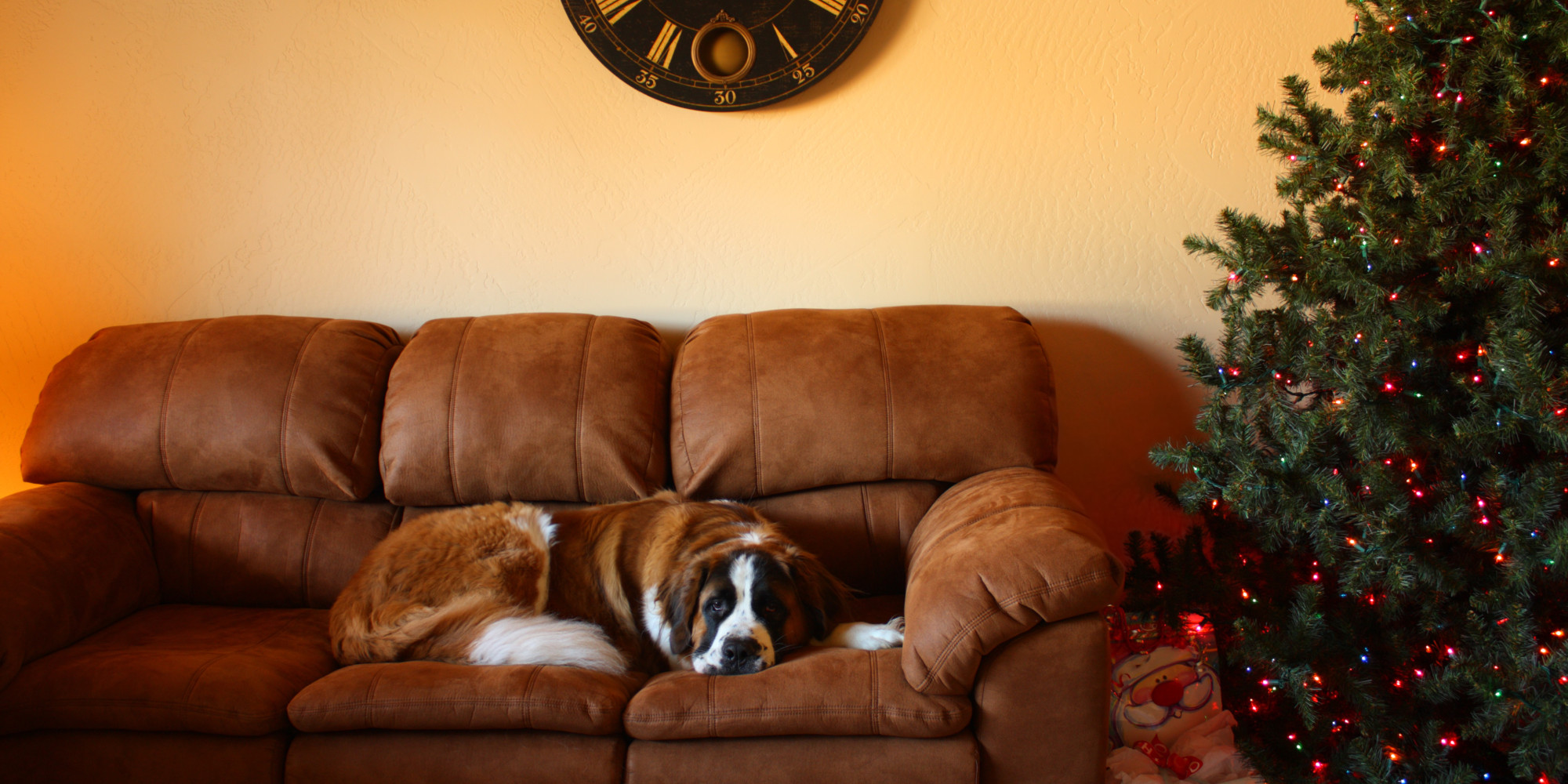 What To Do When The Holidays Hurt HuffPost what-to-do-when-the-holidays-hurt-huffpost