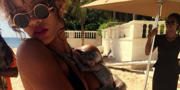 Nackte Haut geht immer? Nicht, wenn man wie Rihanna einen fragwürdigen Umgang mit Wildtieren pflegt