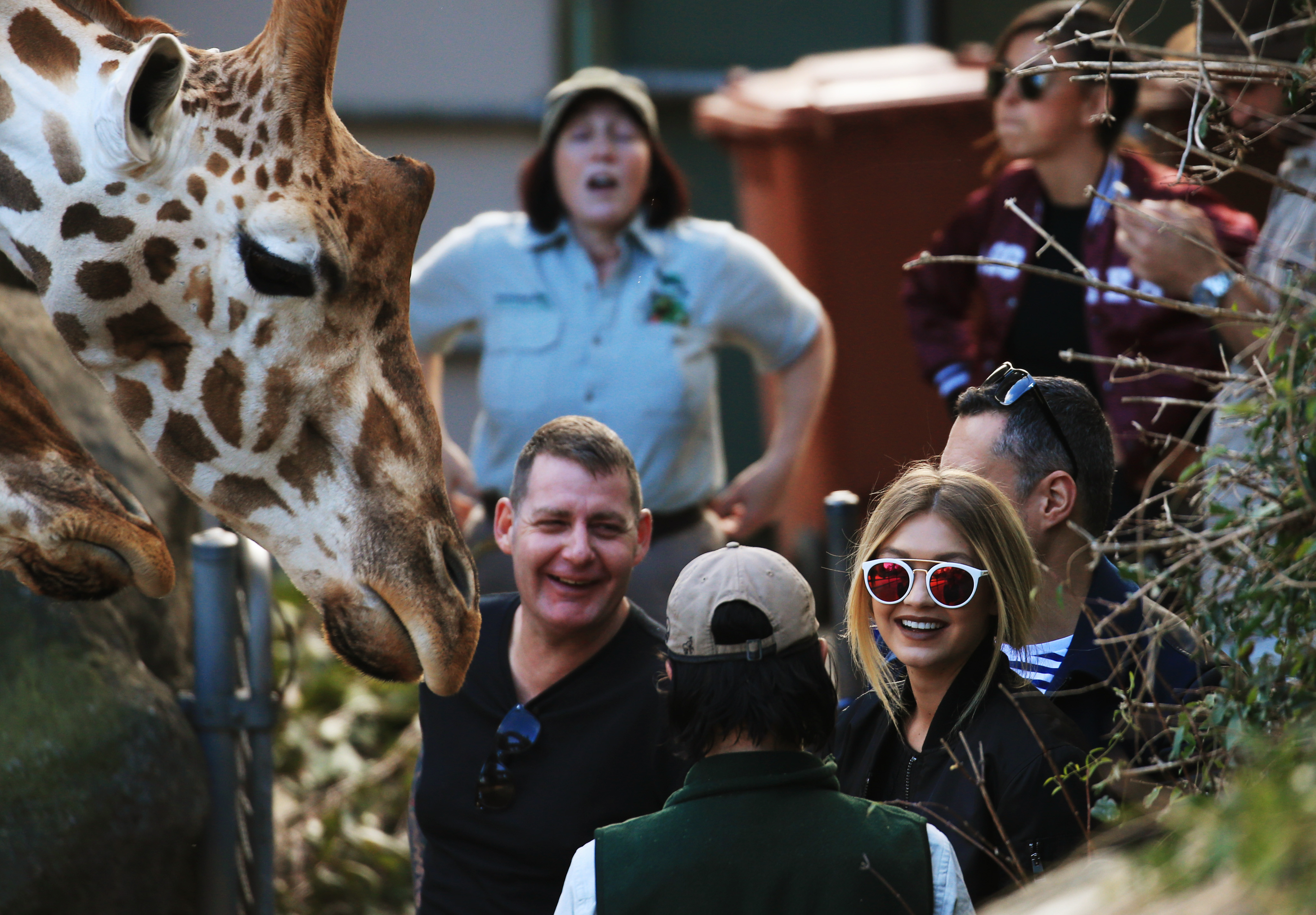 zoo entry taronga $1 Entry Centenary, Celebrate $1 Will Taronga Zoo Give Its To