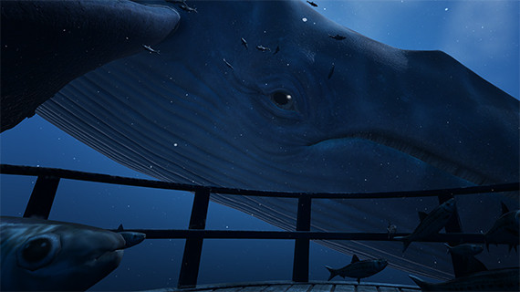 blue whale vive