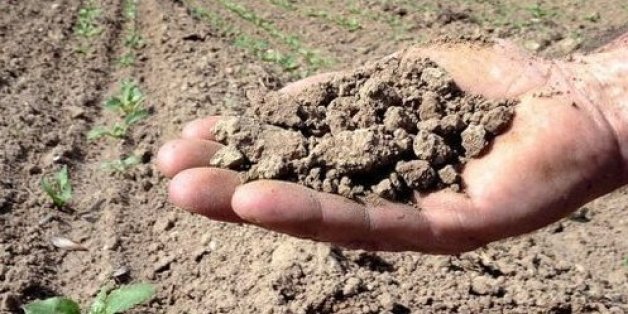 Le retard des pluies aura bel et bien des répercussions sur la croissance marocaine