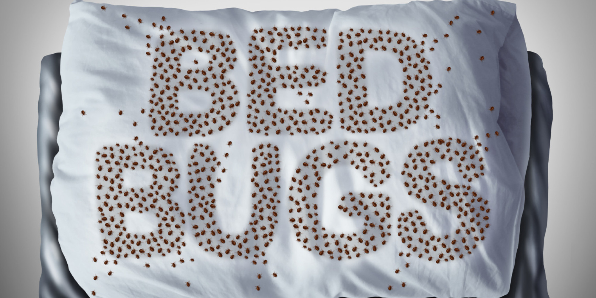One Surefire Way To Spot Bedbugs In Your Hotel Room Huffpost
