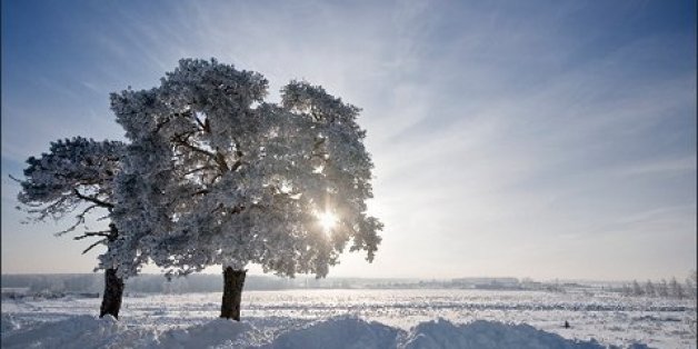 Sturmtief "Gudrun" bringt frostige Temperaturen und Schnee.
