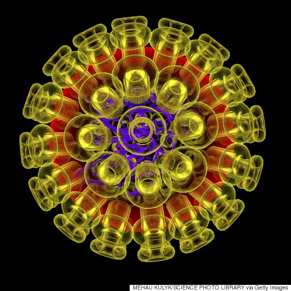 herpes simplex 1 virus