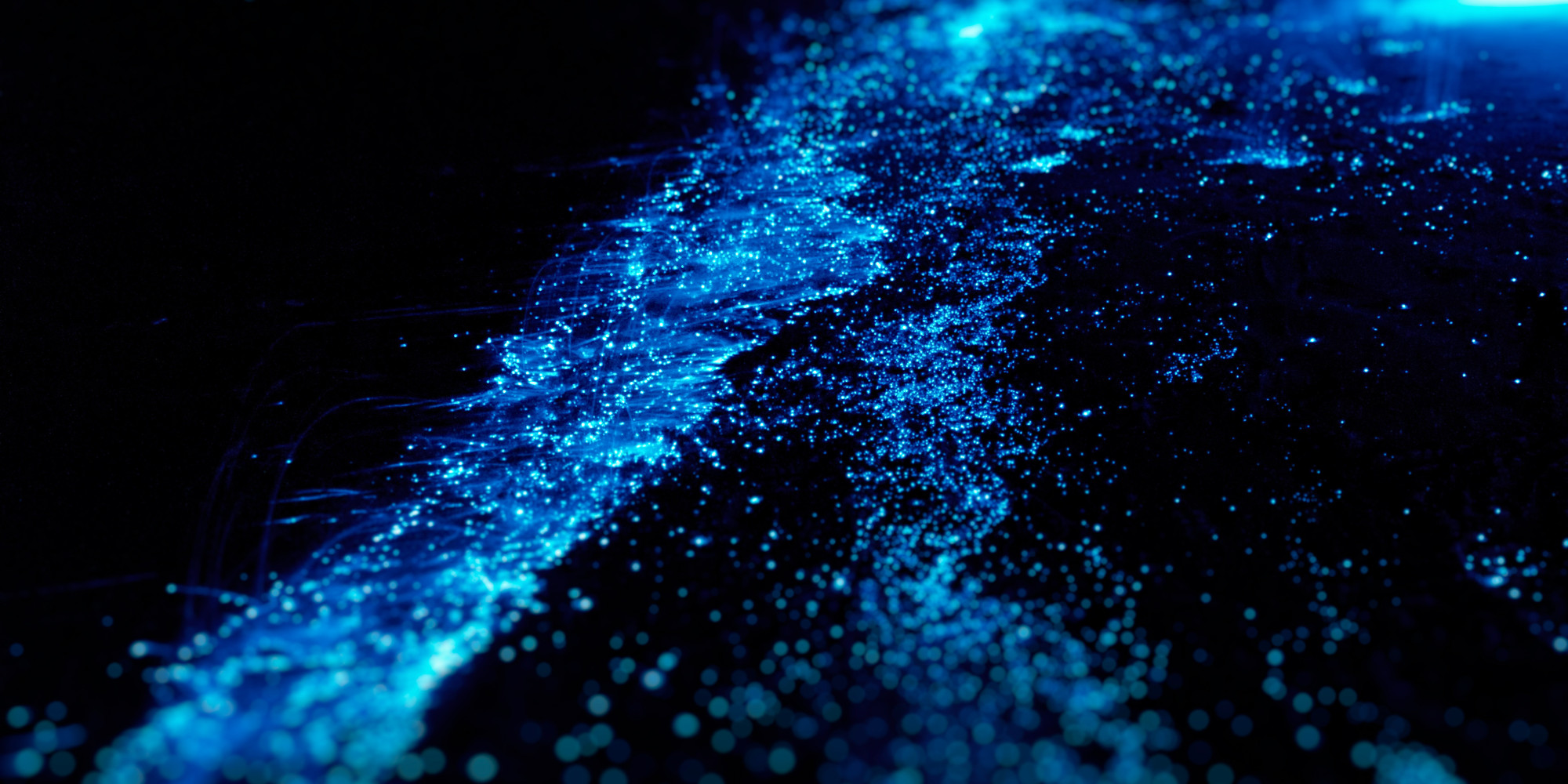 Beautiful Neon Blue Lights In Juhu Sea Stun Mumbaikars HuffPost