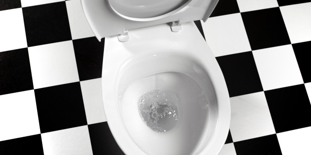 Flushing toilet bowl landscape