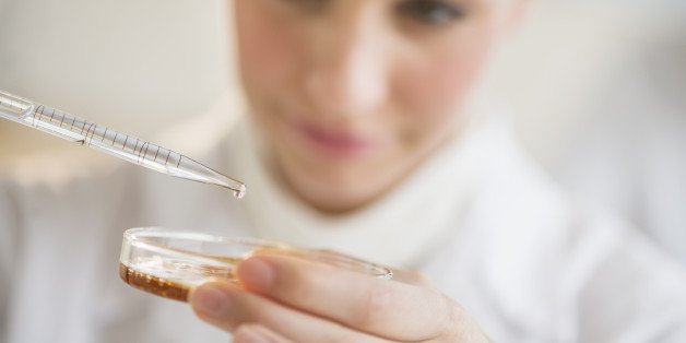 Close-up of scientist using pipette and petri dish