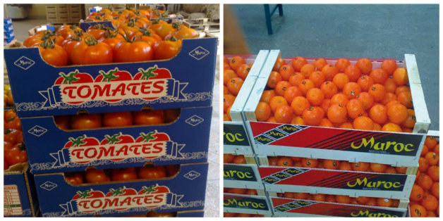 Les temps sont durs pour les tomates et les agrumes marocains