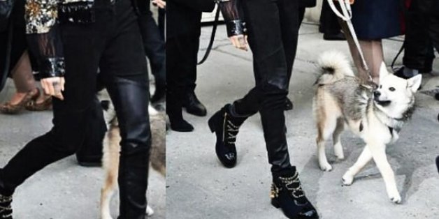 Au défilé Chanel, il y avait un chien et une grosse chapka