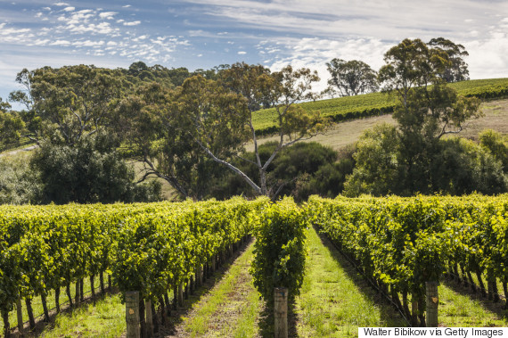 A Guide To Australia's Wine Regions, From Wine Experts | HuffPost Australia