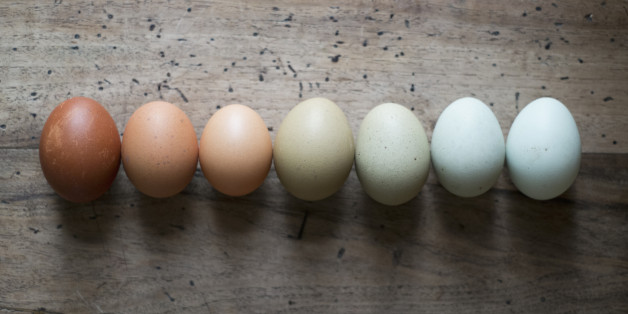 Eggs in a rows, close-up