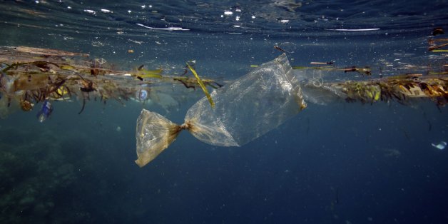 Plastic bag and other garbage floating underwater at Pulau Bunaken