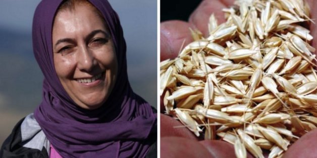 Trois Marocaines récompensées à Marrakech pour leurs actions en faveur de l'environnement