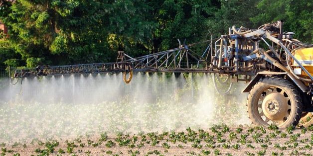 Epandage de pesticides dans un champ de pommes de terre, à Godewaersvelde, dans le Nord de la France.