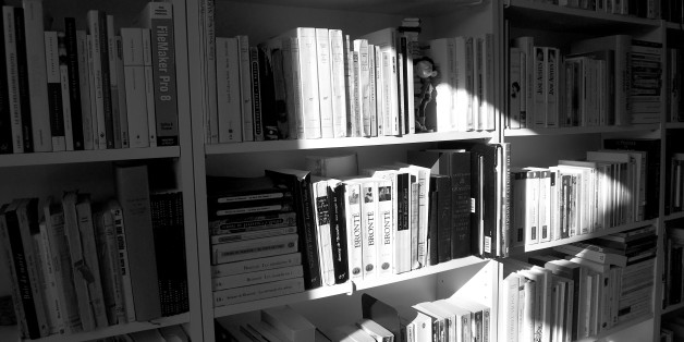 Vue sur une partie de mes bibliothèques de livres.