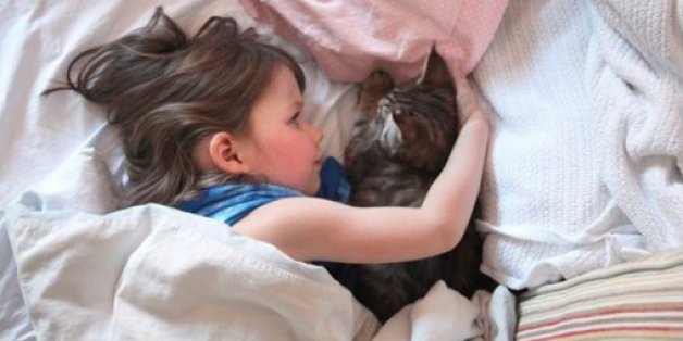 Child is kissing a cat