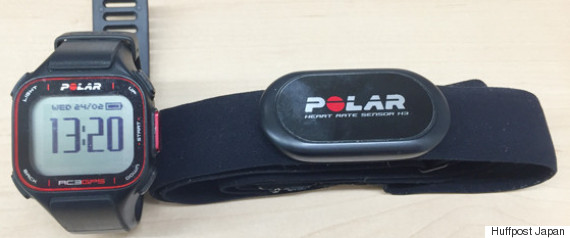 polar