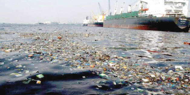 Les détails sur la proposition de loi sur les dégâts environnementaux