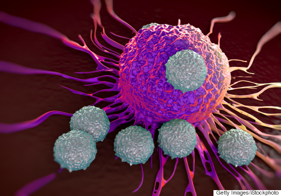 Cancer Breakthrough: Scientists Find 'Achilles Heel' Of Tumours