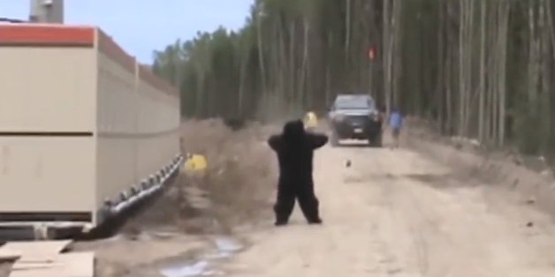 VIDÉO. Victime d'une blague, il fuit à toutes jambes son collègue déguisé en ours