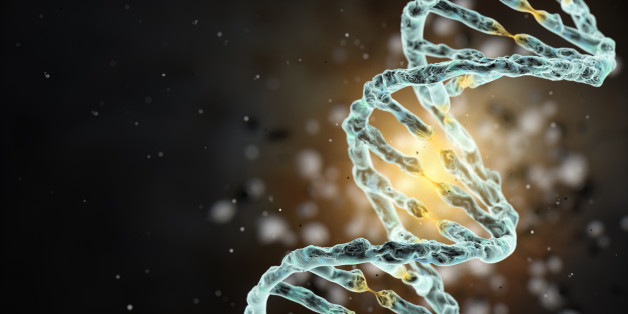 Active strand of human DNA.