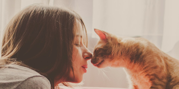 Brunette young woman and ginger cat touching noses