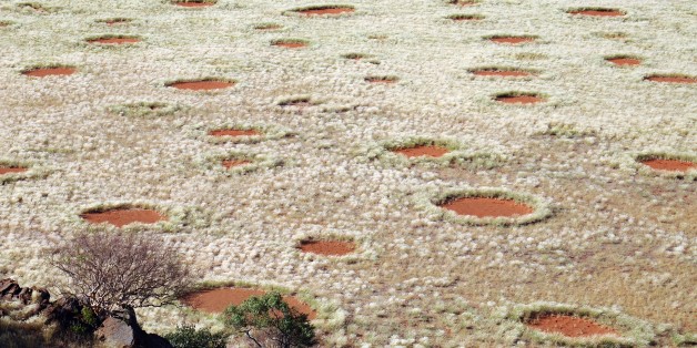 Feenkreise in Namibia