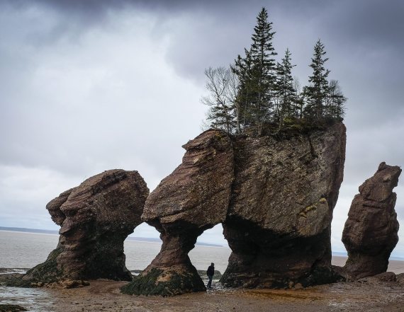 Elephant Rock Collapses In New Brunswick's Hopewell Rocks Provincial ...