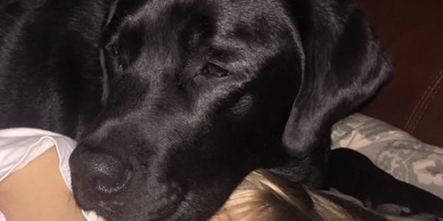 Mitten in der Nacht warnt dieser Hund die Mutter - was sie bei ihrem Sohn entdeckt, erschreckt sie zu Tode