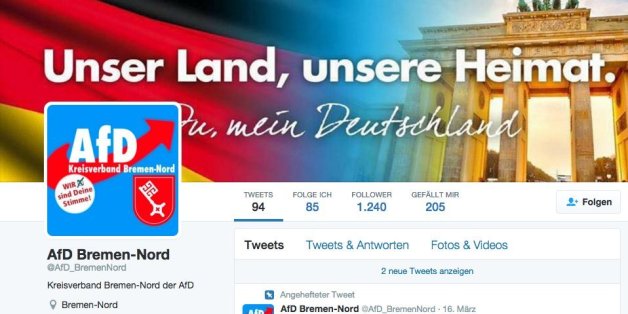 Ein Screenshot des scheinbaren AfD-Twitter-Kanals.