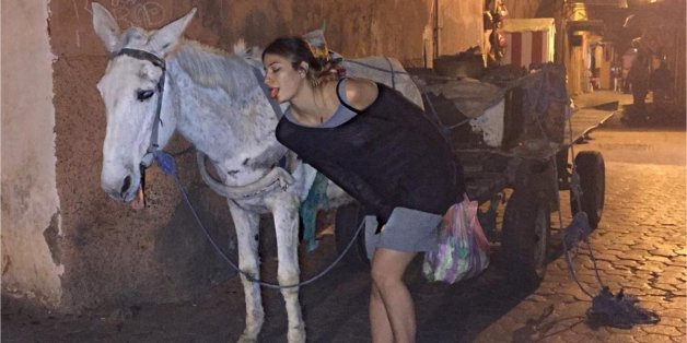 Lexy Panterra pose avec un âne au Maroc
