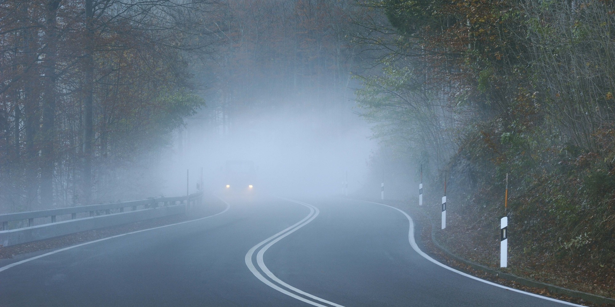 Густой туман на дороге