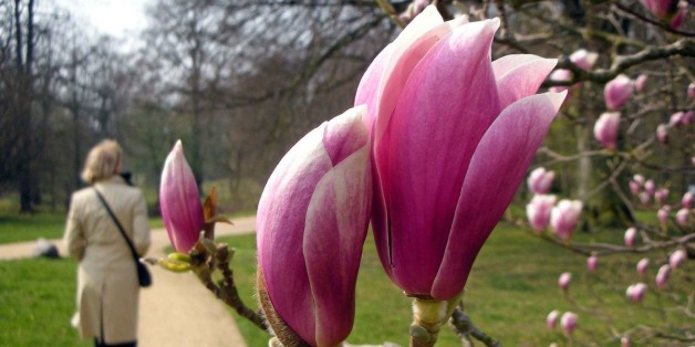 Osterwetter teilt Deutschland: Wo es herrliche 20 Grad geben wird