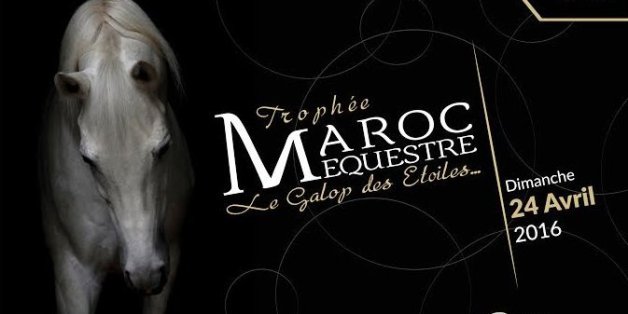 Le cavalier marocain Abdelkebir Ouaddar de nouveau sous le feu des projecteurs.