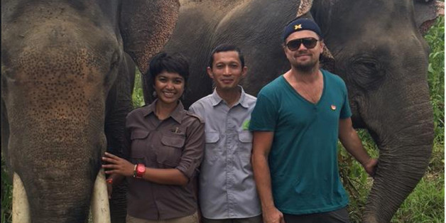 Leonardo DiCaprio und die Mitarbeiter von "Forest Nature and Environment Aceh" kämpfen für den Lebensraum dieser Elefanten