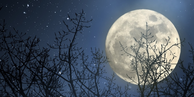 Der Mond wirkt faszinierend - und hat auch eine große Wirkung auf die Erde
