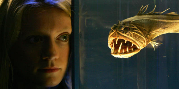 London, UNITED KINGDOM: A visitor to the Science Museum in London, studies a Fangtooth fish, 13 October, at the new exhibition ' The Science of Aliens' which runs from the 15 October until 26 February 2006. AFP PHOTO /MARTYN HAYHOW (Photo credit should read MARTYN HAYHOW/AFP/Getty Images)