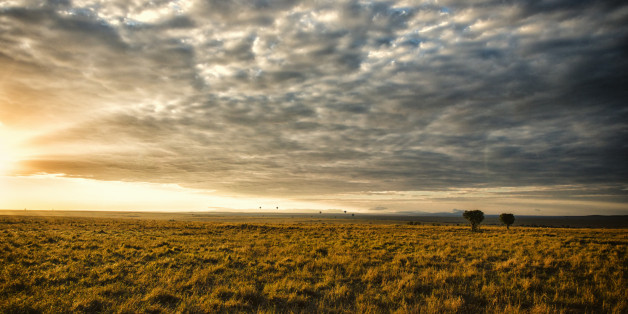 Open savannah grassland at sunset, Masai Mara National Reserve, Kenya.