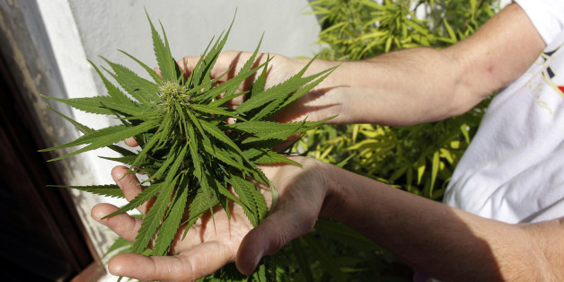 Ein Schwerkranker darf Cannabis für seine Behandlung anbauen (Symbolbild)