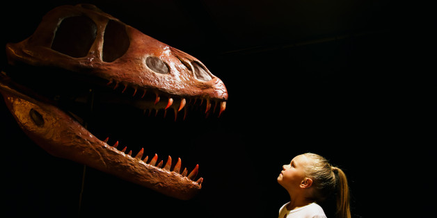 Dinosaurier faszinieren uns - jetzt haben Forscher womöglich neue Erkenntnisse, wie sie gestorben sind